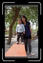 IMG_1178 * 566 x 910 * (240KB)