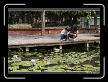 IMG_1199 * 850 x 608 * (248KB)