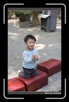 IMG_1228 * 566 x 910 * (223KB)
