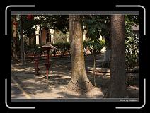 IMG_1236 * 850 x 608 * (240KB)