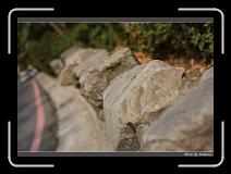 IMG_1251 * 850 x 608 * (241KB)