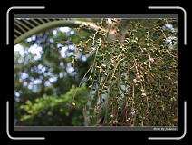 IMG_1252 * 850 x 608 * (248KB)