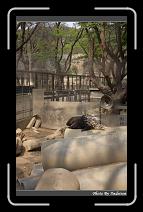 IMG_1270 * 566 x 910 * (234KB)