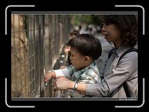 IMG_1271 * 850 x 608 * (221KB)