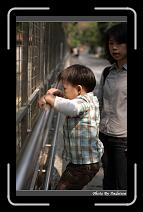 IMG_1273 * 566 x 910 * (237KB)