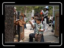IMG_1299 * 850 x 608 * (237KB)