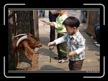 IMG_1301 * 850 x 608 * (230KB)