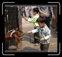IMG_1302 * 850 x 766 * (247KB)