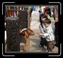 IMG_1304 * 850 x 774 * (239KB)