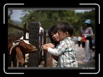 IMG_1307 * 850 x 608 * (226KB)