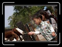 IMG_1312 * 850 x 608 * (235KB)