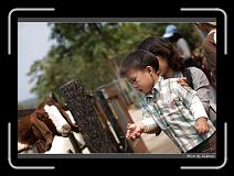 IMG_1313 * 850 x 608 * (243KB)