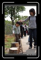 IMG_1319 * 566 x 910 * (241KB)