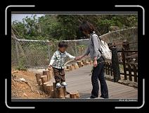 IMG_1330 * 850 x 608 * (243KB)