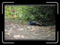 IMG_1345 * 850 x 608 * (244KB)