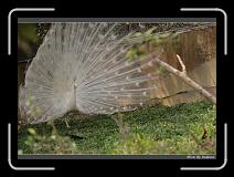 IMG_1369 * 850 x 608 * (241KB)