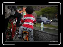 IMG_1461 * 850 x 608 * (238KB)