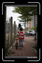 IMG_1468 * 566 x 910 * (224KB)