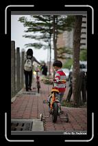 IMG_1471 * 566 x 910 * (245KB)