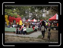 IMG_1547 * 850 x 608 * (249KB)