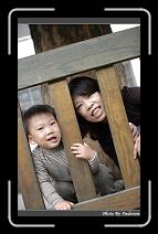 IMG_1625 * 566 x 910 * (236KB)