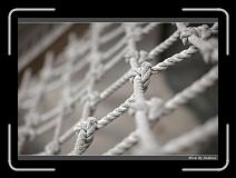 IMG_1643 * 850 x 608 * (233KB)