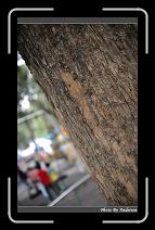 IMG_1644 * 566 x 910 * (240KB)