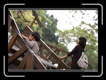 IMG_1655 * 850 x 608 * (240KB)