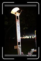 IMG_1727 * 566 x 910 * (226KB)