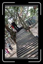 IMG_1801 * 566 x 910 * (243KB)