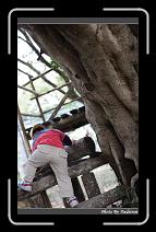 IMG_1806 * 566 x 910 * (231KB)