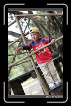 IMG_1814 * 566 x 910 * (249KB)