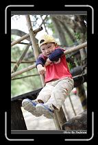 IMG_1818 * 566 x 910 * (218KB)