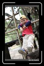 IMG_1819 * 566 x 910 * (249KB)