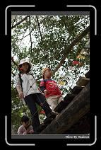IMG_1828 * 566 x 910 * (243KB)