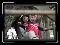 IMG_1829 * 850 x 608 * (248KB)