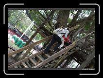 IMG_1831 * 850 x 608 * (247KB)