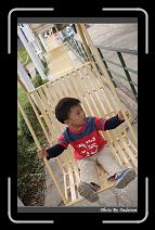 IMG_1974 * 566 x 910 * (240KB)