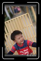 IMG_1981 * 566 x 910 * (218KB)
