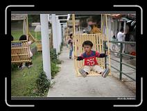 IMG_1986 * 850 x 608 * (235KB)
