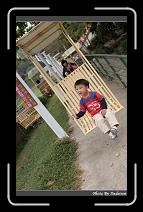 IMG_2000 * 566 x 910 * (248KB)