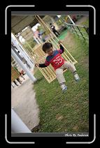 IMG_2009 * 566 x 910 * (234KB)