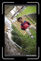 IMG_2020 * 566 x 910 * (248KB)