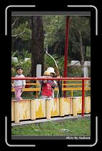 IMG_2039 * 566 x 910 * (236KB)