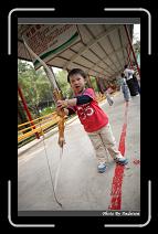 IMG_2074 * 566 x 910 * (244KB)