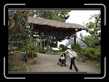 IMG_2084 * 850 x 608 * (246KB)