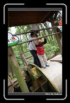 IMG_2092 * 566 x 910 * (243KB)