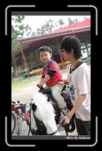IMG_2112 * 566 x 910 * (232KB)
