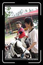 IMG_2114 * 566 x 910 * (224KB)