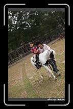 IMG_2125 * 566 x 910 * (241KB)